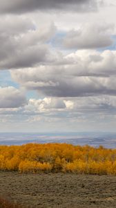 Preview wallpaper trees, valley, autumn, nature