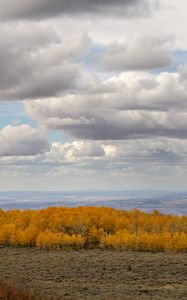 Preview wallpaper trees, valley, autumn, nature