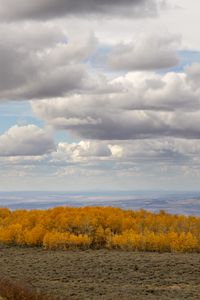 Preview wallpaper trees, valley, autumn, nature