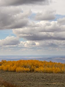 Preview wallpaper trees, valley, autumn, nature