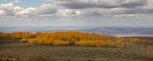 Preview wallpaper trees, valley, autumn, nature