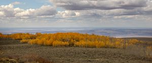 Preview wallpaper trees, valley, autumn, nature