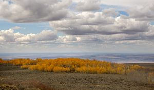 Preview wallpaper trees, valley, autumn, nature