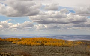 Preview wallpaper trees, valley, autumn, nature