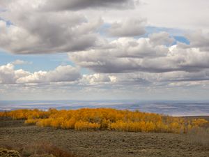 Preview wallpaper trees, valley, autumn, nature