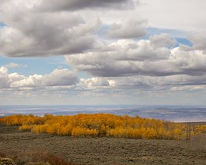 Preview wallpaper trees, valley, autumn, nature