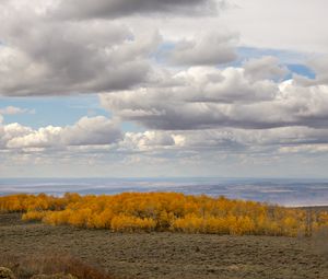 Preview wallpaper trees, valley, autumn, nature