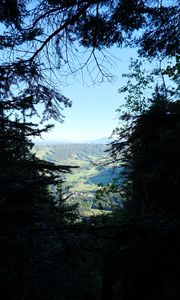 Preview wallpaper trees, valley, forest, aerial view, nature