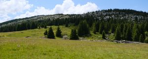 Preview wallpaper trees, valley, grass, hills, nature