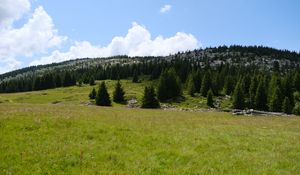 Preview wallpaper trees, valley, grass, hills, nature