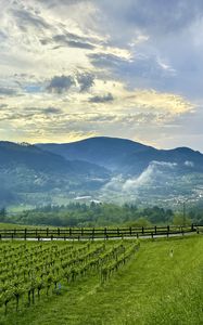 Preview wallpaper trees, valley, mountains, landscape, nature