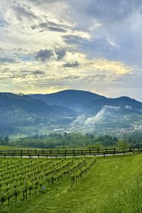 Preview wallpaper trees, valley, mountains, landscape, nature