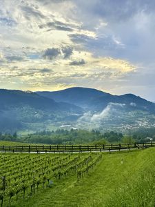 Preview wallpaper trees, valley, mountains, landscape, nature