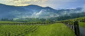 Preview wallpaper trees, valley, mountains, landscape, nature