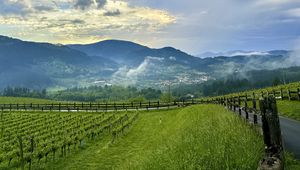 Preview wallpaper trees, valley, mountains, landscape, nature