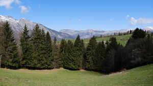 Preview wallpaper trees, valley, mountains, landscape