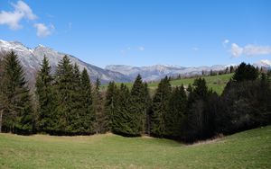 Preview wallpaper trees, valley, mountains, landscape