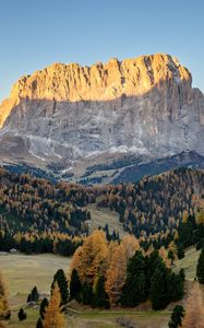 Preview wallpaper trees, valley, rock, mountain, landscape