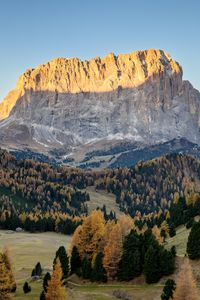 Preview wallpaper trees, valley, rock, mountain, landscape