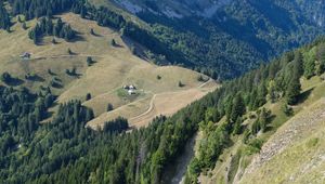 Preview wallpaper trees, valley, stones, trail, aerial view