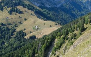 Preview wallpaper trees, valley, stones, trail, aerial view