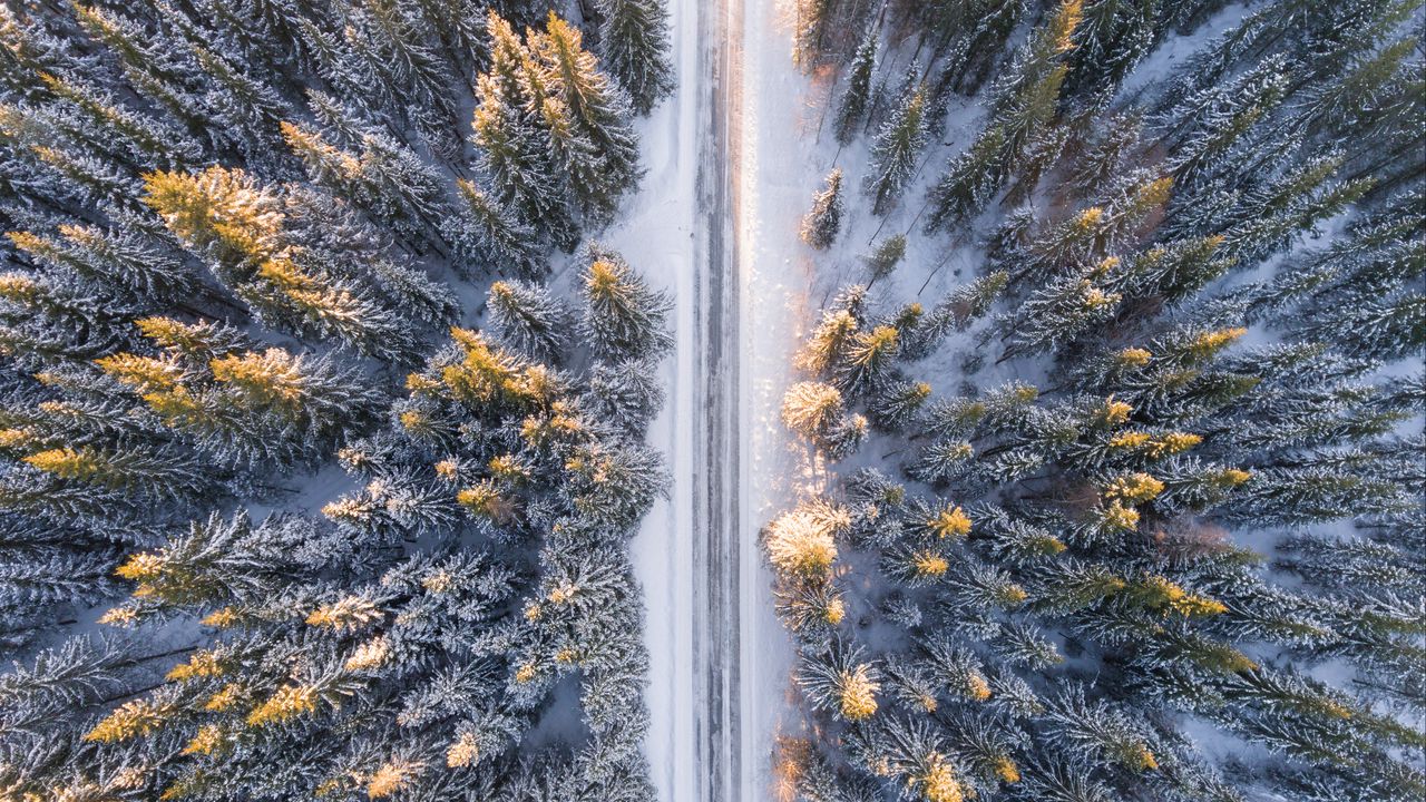 Wallpaper trees, view from above, road, winter