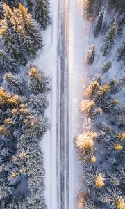 Preview wallpaper trees, view from above, road, winter