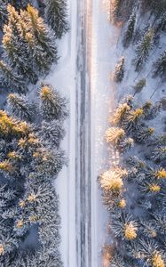 Preview wallpaper trees, view from above, road, winter