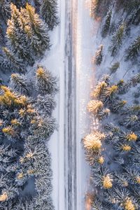 Preview wallpaper trees, view from above, road, winter