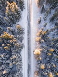 Preview wallpaper trees, view from above, road, winter