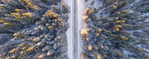 Preview wallpaper trees, view from above, road, winter
