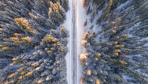 Preview wallpaper trees, view from above, road, winter