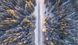 Preview wallpaper trees, view from above, road, winter