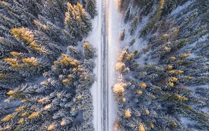 Preview wallpaper trees, view from above, road, winter