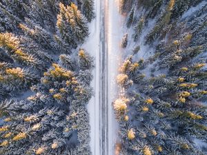 Preview wallpaper trees, view from above, road, winter