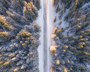 Preview wallpaper trees, view from above, road, winter