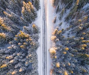 Preview wallpaper trees, view from above, road, winter