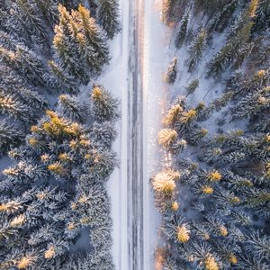 Preview wallpaper trees, view from above, road, winter