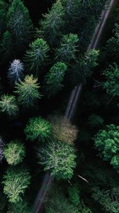 Preview wallpaper trees, view from above, road