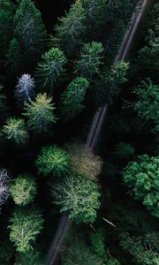 Preview wallpaper trees, view from above, road