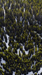 Preview wallpaper trees, view from above, snow