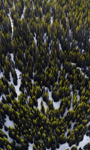 Preview wallpaper trees, view from above, snow