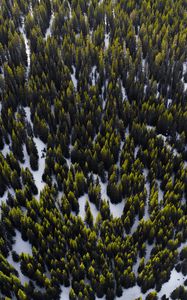 Preview wallpaper trees, view from above, snow