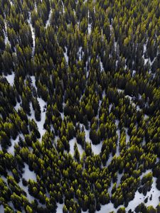 Preview wallpaper trees, view from above, snow