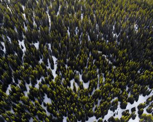 Preview wallpaper trees, view from above, snow