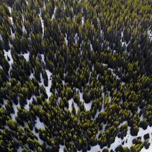 Preview wallpaper trees, view from above, snow