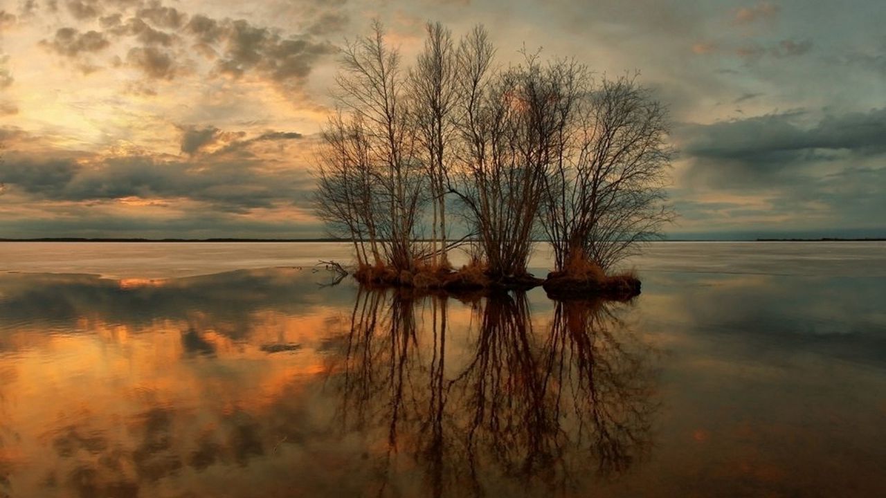 Wallpaper trees, water, lake, reflection, decline, lilac