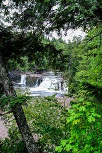 Preview wallpaper trees, waterfall, landscape, nature
