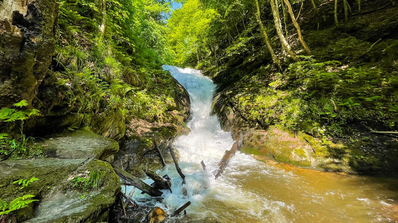 Wallpaper trees, waterfall, stones, nature