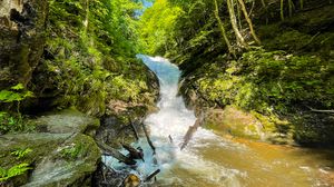 Preview wallpaper trees, waterfall, stones, nature